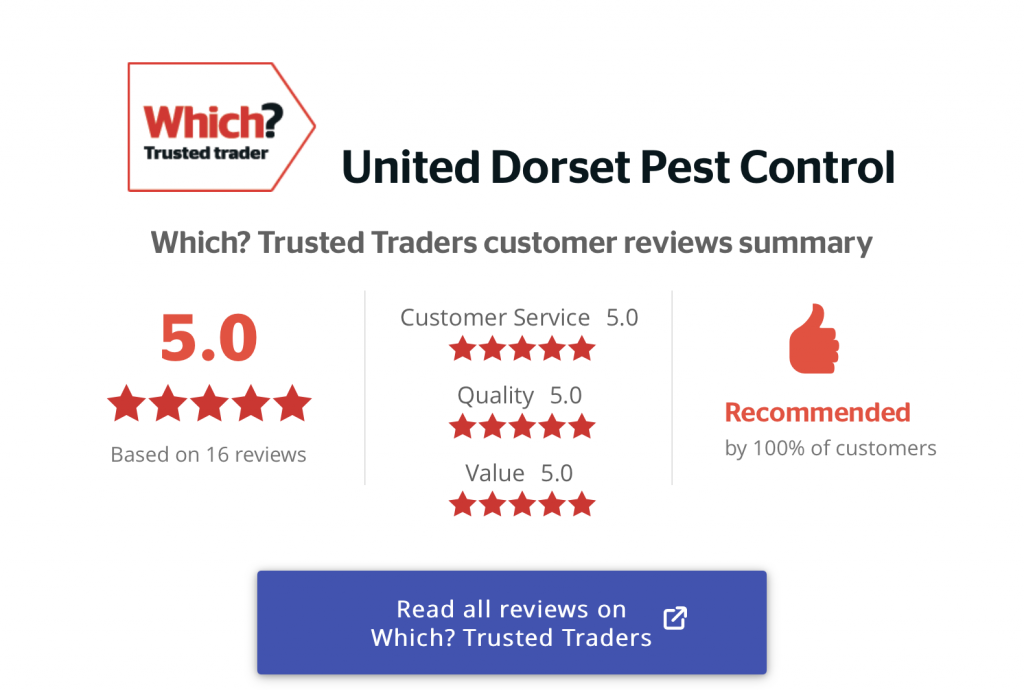 United Dorset Pest Control Trusted Pest Control in Dorset