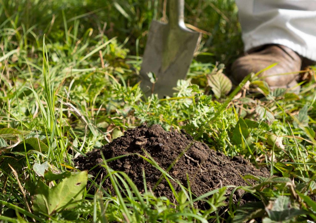 Agricultural Pest Control United Dorset Pest Control